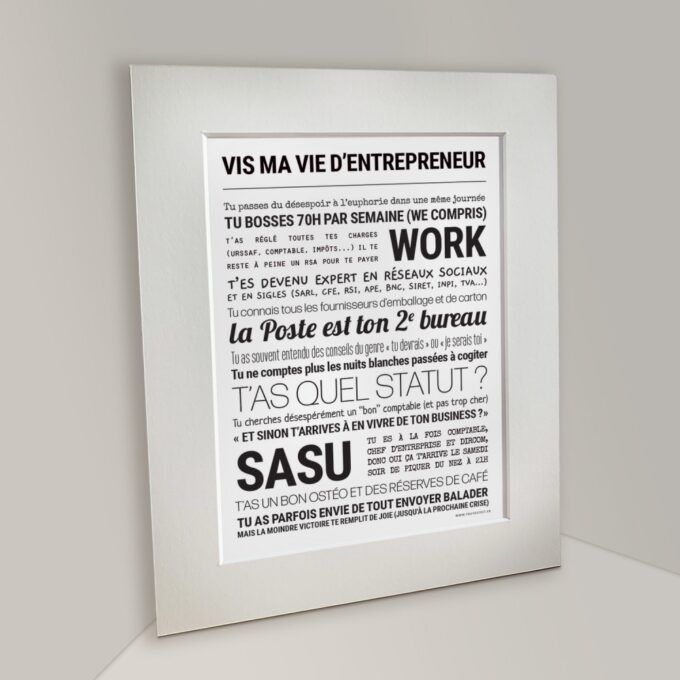 Affiche vis ma vie d'entrepreneur