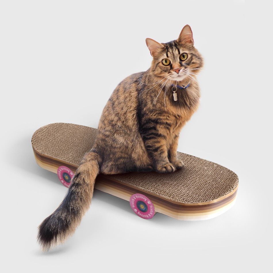 Grattoir skateboard pour chat – Image 3