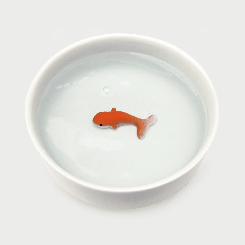 Gamelle poisson (pour chat...)