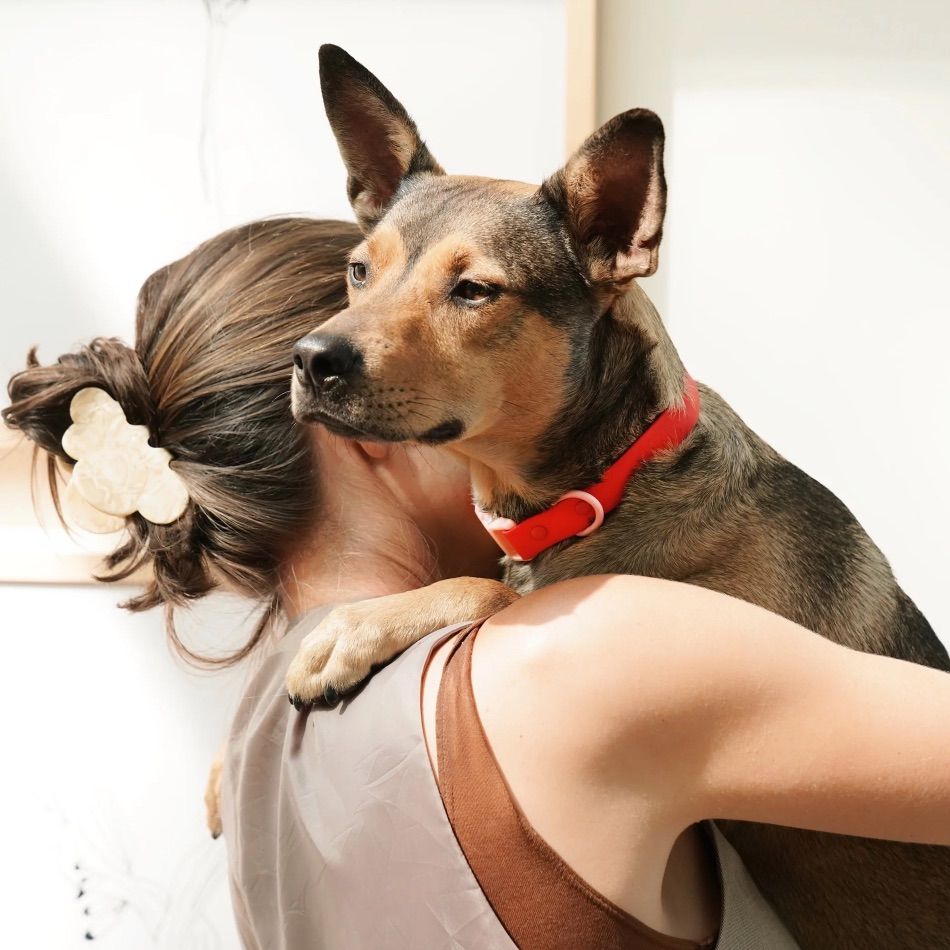 Collier fritz M cherry – Image 2