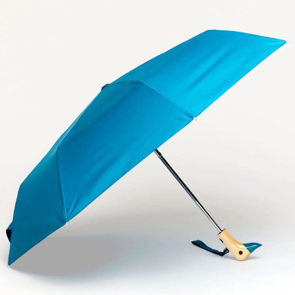 Parapluie teal