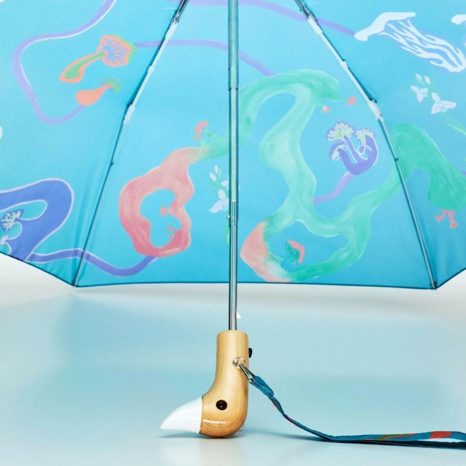 Parapluie aqua fungi – Image 4