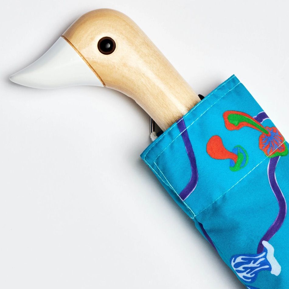 Parapluie aqua fungi – Image 3