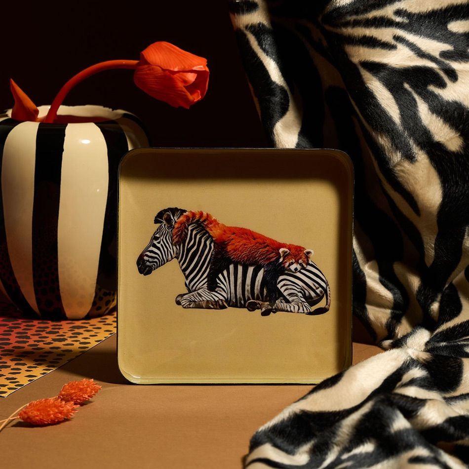 Vide poche siesta – Image 3