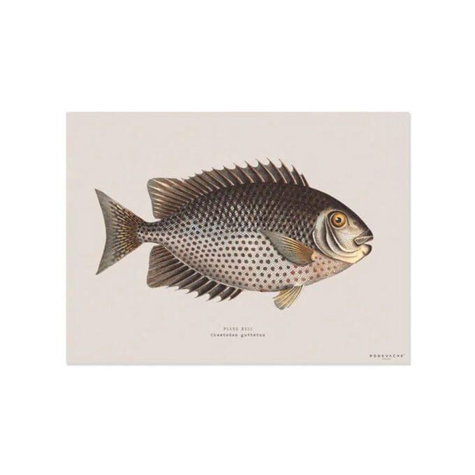 set table poisson 02013